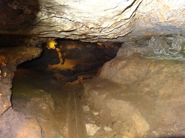 [DSC034835.jpg]
