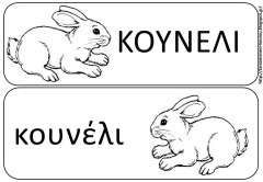ζ13 ζ13