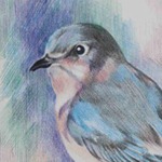 163_sq_tn 163_sq_tn