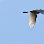 IMG_0870.JPG