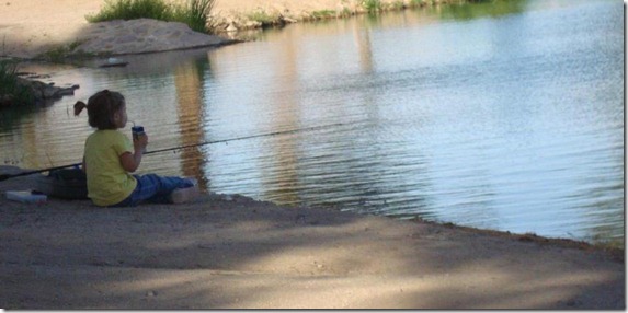 273_crop
