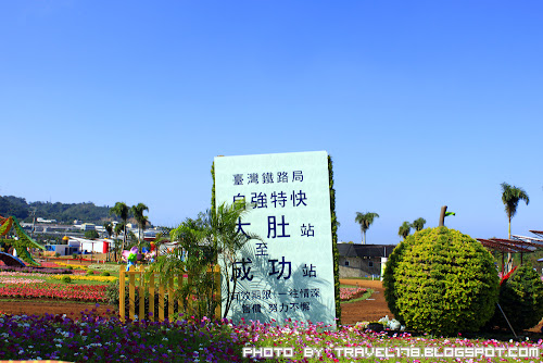 2012新社花海 2012新社花海