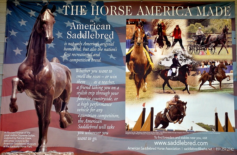[10---American-Saddlebred-Museum-Post%255B1%255D.jpg]