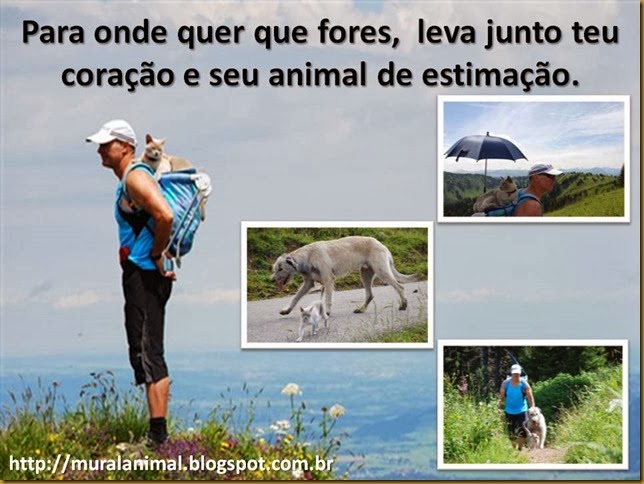 viagem-animais