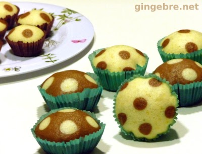 magdalenes apam.JPG