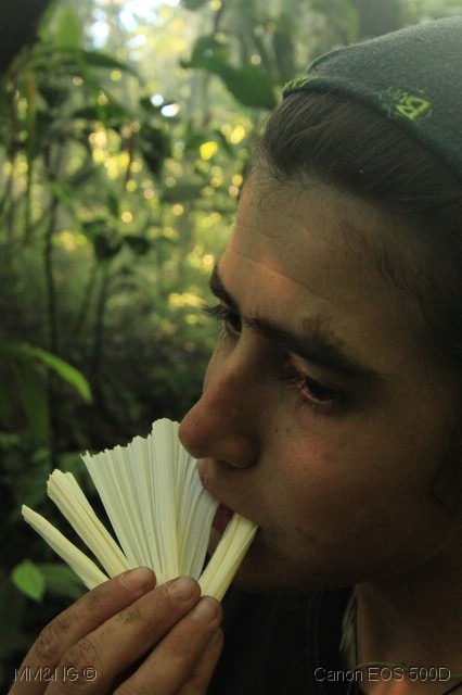 [IMG_2464%255B6%255D.jpg]