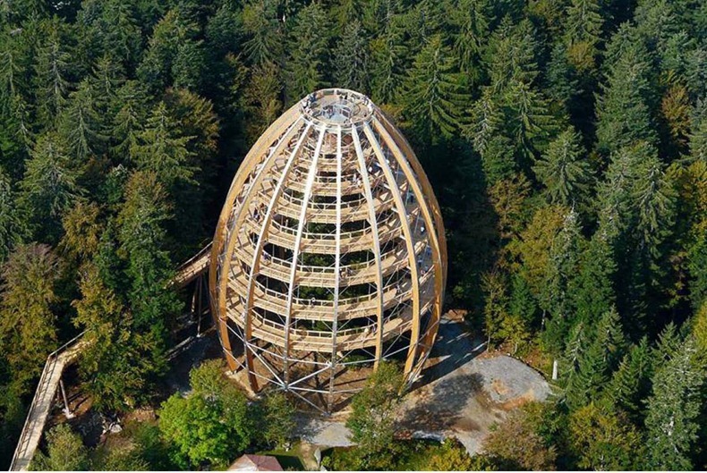 bavaria-treetop-walk-8 bavaria-treetop-walk-8