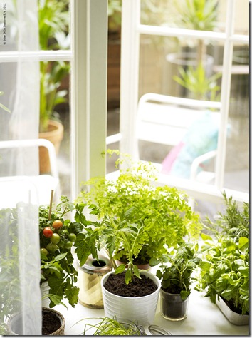 ikea_ecoration_windowfarming_0 ikea_ecoration_windowfarming_0