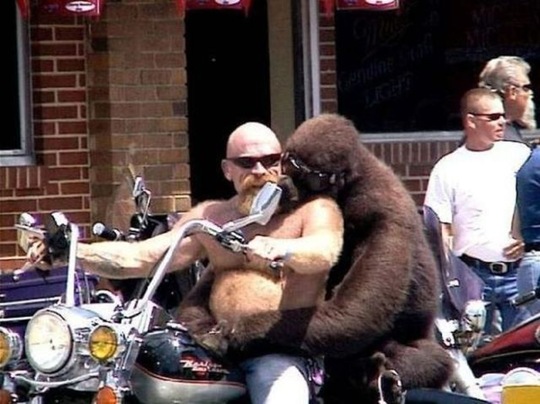 [viral-picdump-pics-6%255B2%255D.jpg]