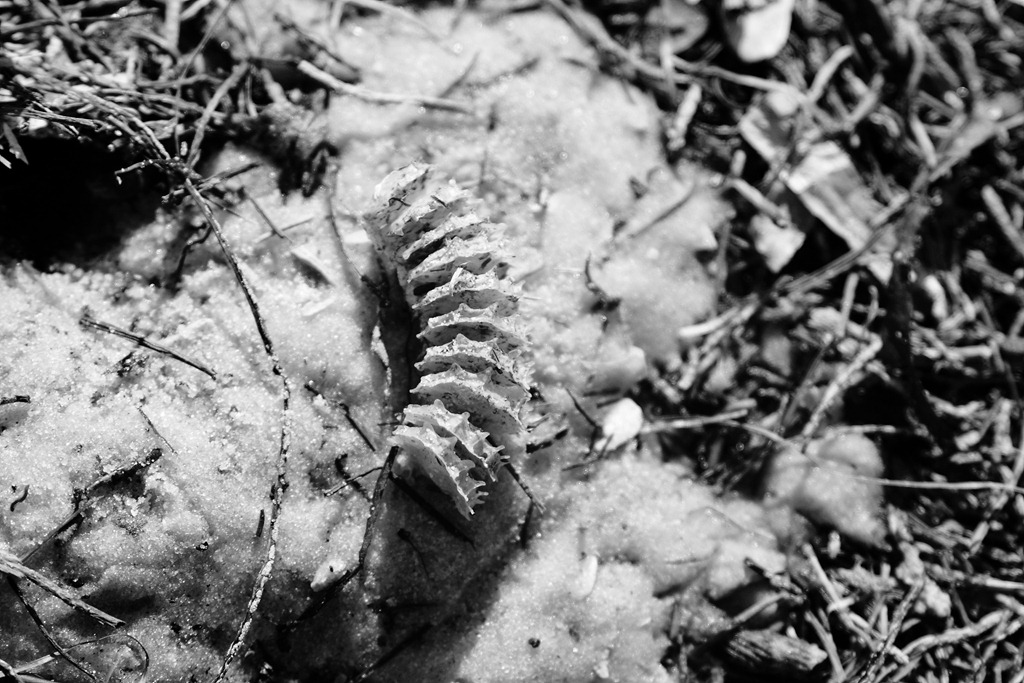 [IMG_8566edit%255B4%255D.jpg]