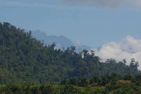 Le Mont Kinabalu à l'est de Ranau (Sabah, Malaisie), 1er août 2011. Photo : J.-M. Gayman