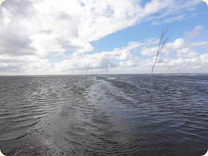Vadehavet DSC09971