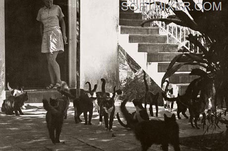 [da461351c10b%255B8%255D.jpg]