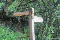 IMG_9286.JPG Photo