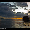 alicea_071123_9747.jpg