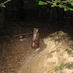 IMG_0750.JPG