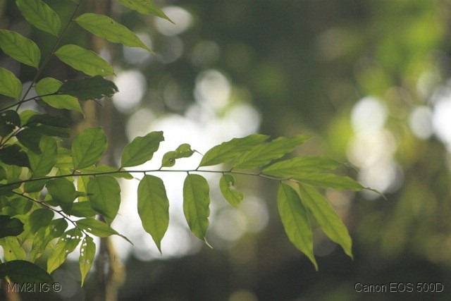 [IMG_2328%255B3%255D.jpg]