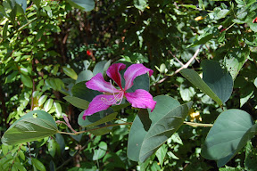 DSC_0288.JPG