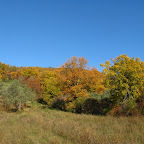 IMG_2443.jpg