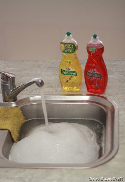 [Palmolive%2520Dishwashing%2520Review%2520%25285%2529%255B12%255D.jpg]
