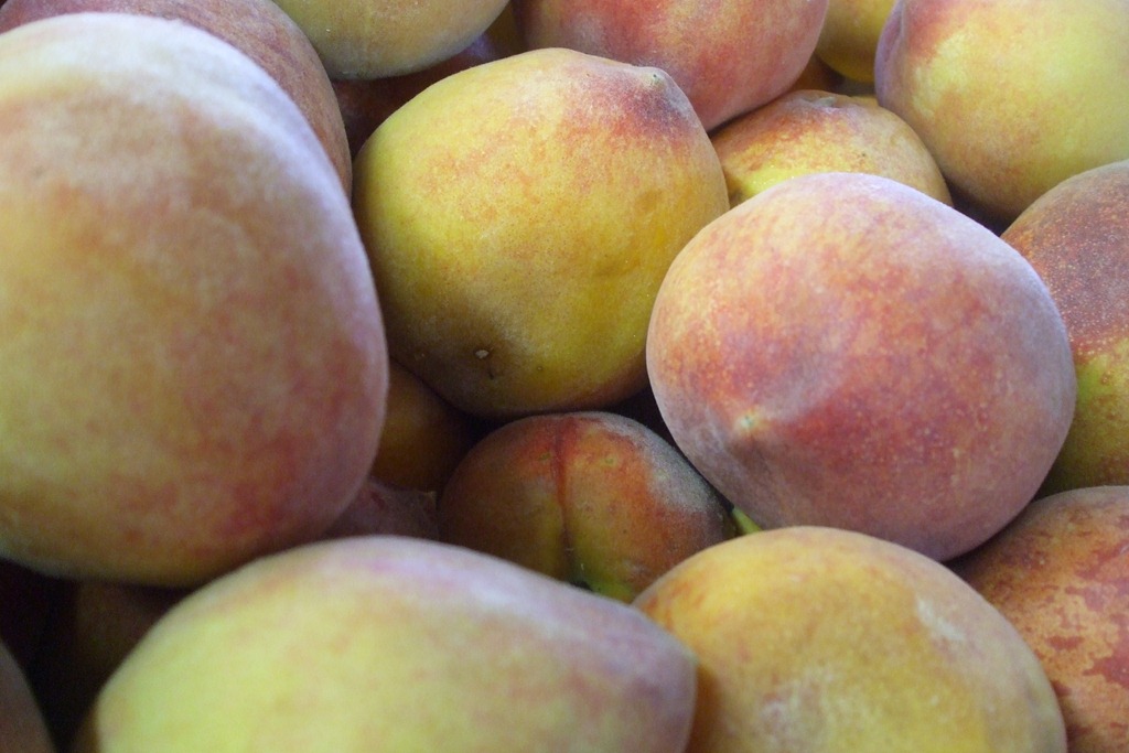 [blogherfood%2520036%255B3%255D.jpg]