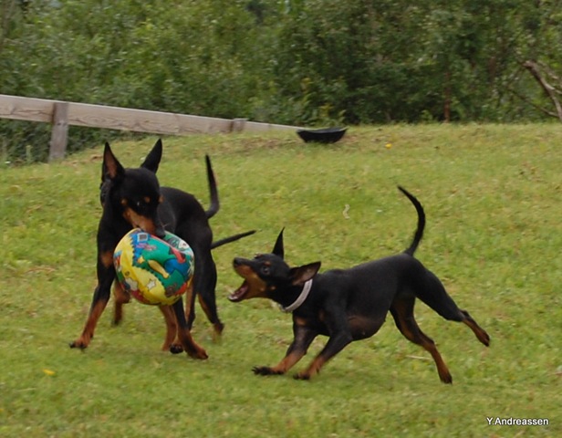 [DSC_7394%255B3%255D.jpg]