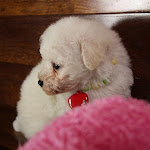 IMG_6697.jpg