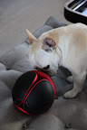 What is this strange looking ball?
