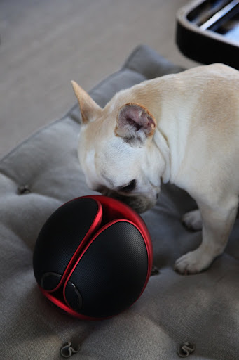 What is this strange looking ball?