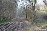 IMG_5424.JPG Photo
