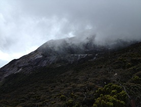 IMG_6110 IMG_6110