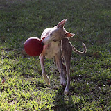 IMG_3883.JPG