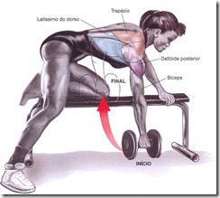 Exercícios_remada_com_halteres_ Exercícios_remada_com_halteres_