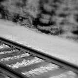 These were shots from one of my many train trips to Reno on the California Zepher. It was a beautiful day and the fall colors were hitting. Train Trip to Reno_Zepher 6