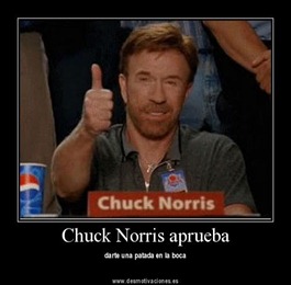 chuck_norris_approved_4 chuck_norris_approved_4