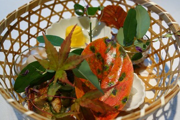 DSC00271 DSC00271