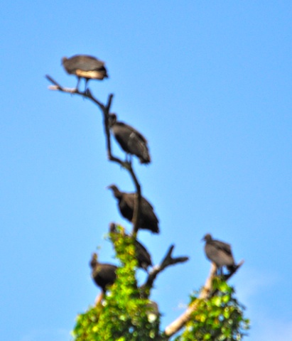 DSC_0395.jpg DSC 0395
