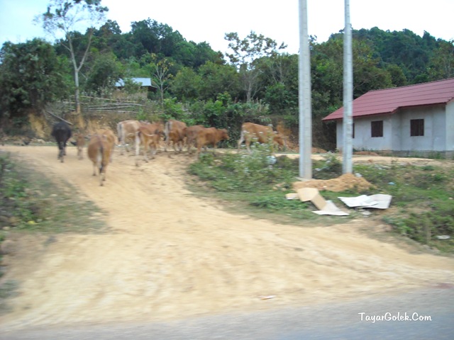 [DSCN81355.jpg]