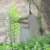 Montmany, entrada tapiada.JPG