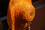 DSC_8578.jpg