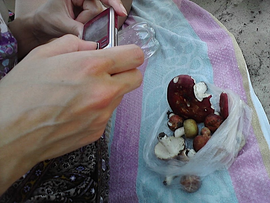 P160711_14.30.jpg
