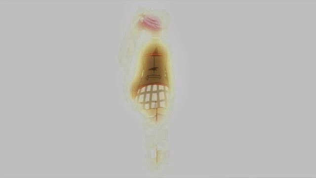 [Little%2520Busters%2520Refrain%2520-%252004%2520-%2520Large%252034%255B3%255D.jpg]