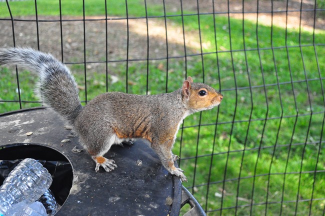 DSC_0823 DSC_0823
