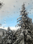 neve ciggiano.jpg