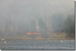 IMG_1543 IMG_1543