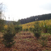 PB110026.jpg