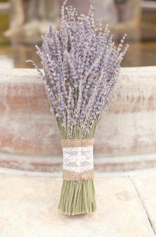 [lavender-red-hill-lavender-farm3-imb%255B1%255D.jpg]