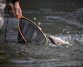 Steele_Baird hand trout net.jpg