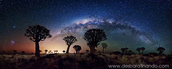 sony-world-photography-awards-2013-19 sony-world-photography-awards-2013-19