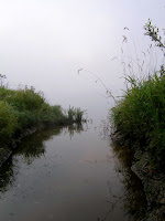 deltolet-02.jpg